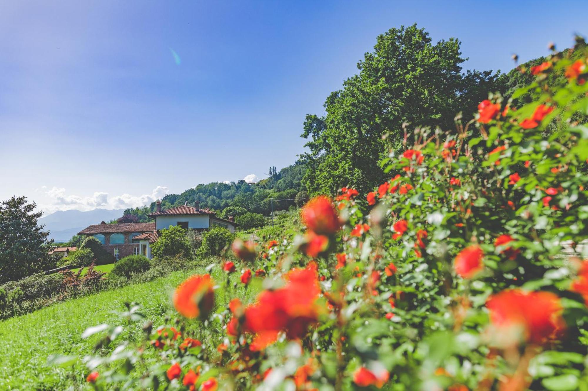 Myvilla Suites Palazzo Canavese 外观 照片