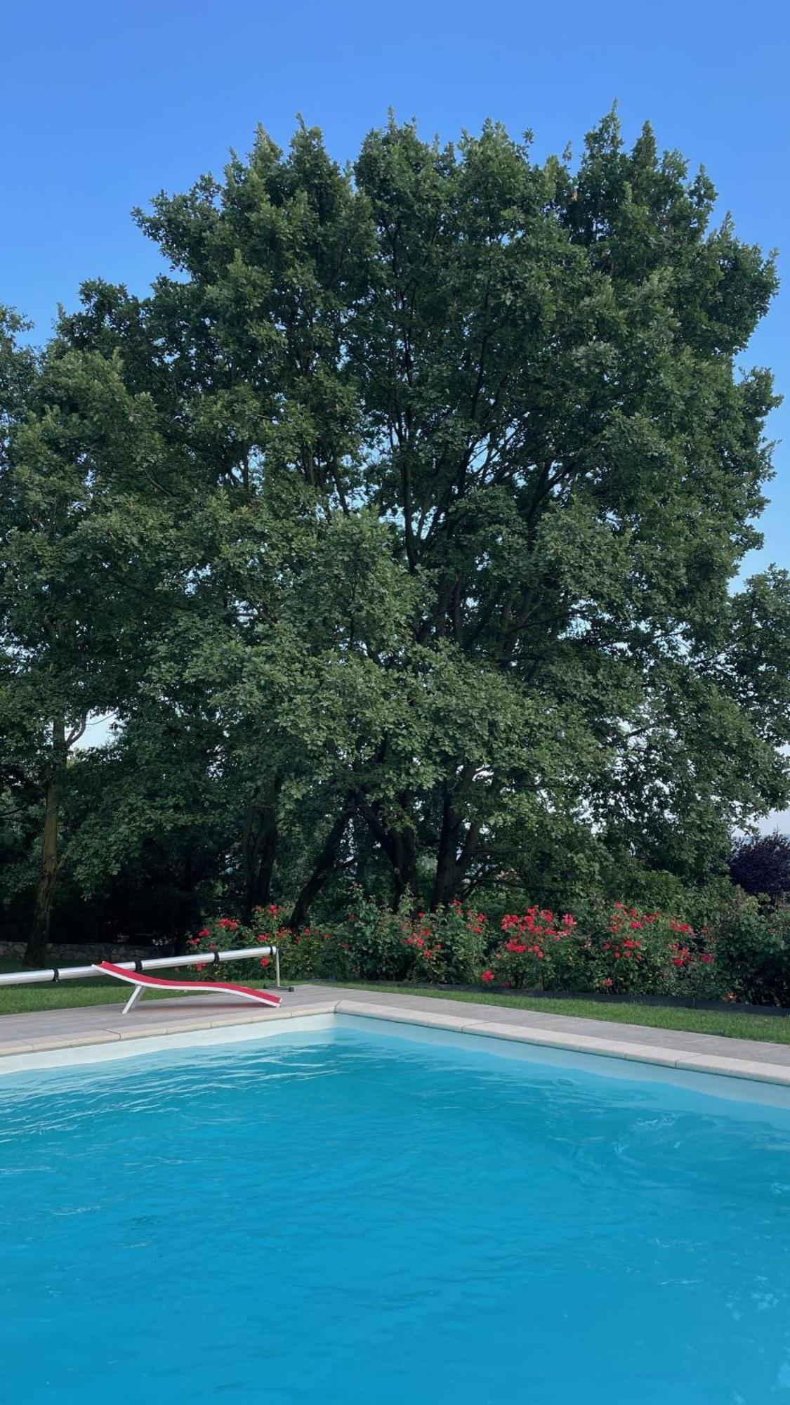 Myvilla Suites Palazzo Canavese 外观 照片
